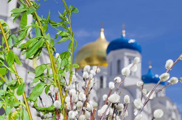 Християнська Православна Церква Святкування Вербна Неділя Стокове Зображення