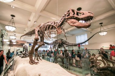 New York, Usa - 16 Haziran. 2017: Amerikanın İçi Müzesi