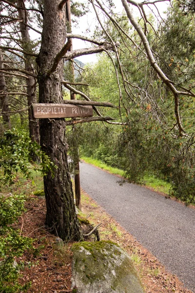 Знак приватної власності (Propietat Privada) в середині лісу, недалеко від села Енкамп, в Андорі - Піренеях. — стокове фото