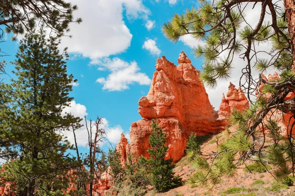 Όμορφο εθνικό πάρκο Bryce Canyon στη Γιούτα, Usa. Πορτοκαλί βράχια, μπλε ουρανός. Τεράστια φυσικά αμφιθέατρα και σχηματισμοί χούντου. Μεγάλη πανοραμική θέα από τα σημεία vista και εκπληκτική περιπέτεια. — Φωτογραφία Αρχείου