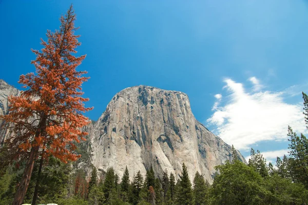 El Capitan granite rocks, known for breathtaking climbing routes,view from Yosemite valley, California, USA. Near landmarks: Tunnel View, Half Dome, Bridalveil Falls, Horsetail Falls, Yosemite Falls. — Stock Photo, Image