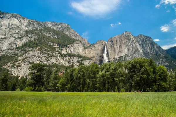 View of Yosemite Falls from Yosemite Valley Meadows, California, USA. Near Landmarks: Tunnel View, El Capitan, Bridalveil Falls, Half Dome, Glacier Point. — Stock Photo, Image