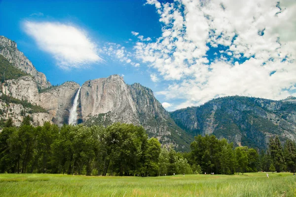 View of Yosemite Falls from Yosemite Valley Meadows, California, USA. Near Landmarks: Tunnel View, El Capitan, Bridalveil Falls, Half Dome, Glacier Point. — Stock Photo, Image