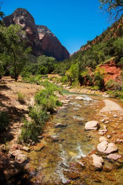 Utah, Usa 'daki Zion Ulusal Parkı' ndan geçen Virgin Nehri. Yürüyüş maceraları, seyahat, vahşi doğa..