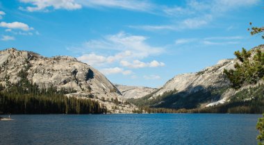Arkasında granit tepeler ve çam ağaçları olan güzel Tenaya Gölü manzarası. Yosemite Ulusal Parkı 'ndaki Tioga Geçidi, Kaliforniya, Usa.