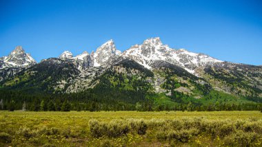 Yaz boyunca ABD 'nin Wyoming eyaletindeki Grand Teton Ulusal Parkı' nda bir Karlı Dağ Sırası. 