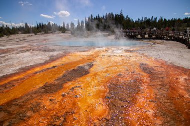 Yellowstone Ulusal Parkı 'ndaki Batı Parmak Gayzer Havuzu' nda renkli bir uçurum havuzu. Bakteri minderleri sıcak su akışında oluşur..