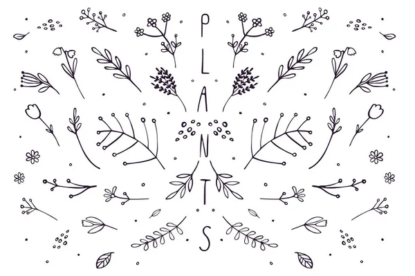 Symmetry botanical floral set of the plants — 스톡 벡터
