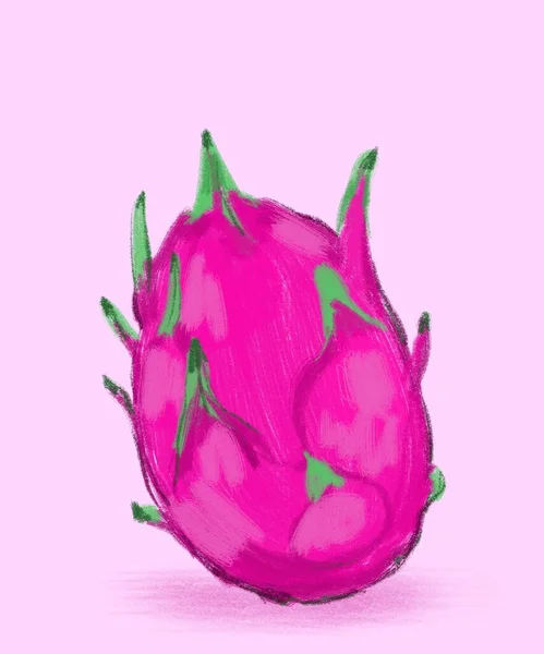Rysowane azjatyckie owoce pitaya do projektowania lub pracy — Zdjęcie stockowe