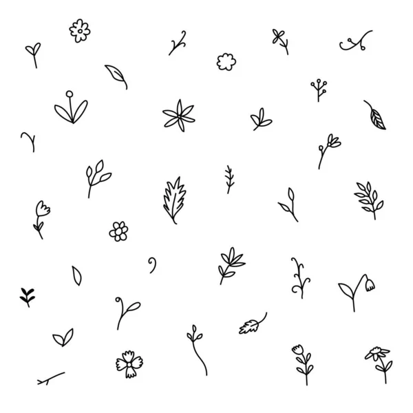 Beleza Preto Branco Pequeno Conjunto Plantas Cortadas — Vetor de Stock