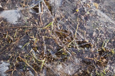 Plaş üzerinde donmuş desenler