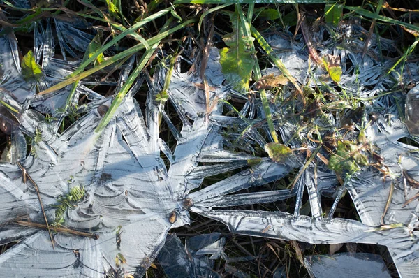 Замороженные Узоры Plash — стоковое фото