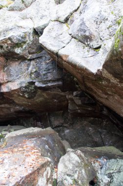 Ormanda gri dev taşlar