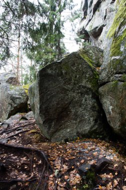 Sonbaharda orman ve dağ