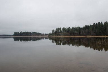  Ormandaki göl ve yansıma