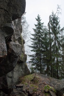 Sonbaharda orman ve dağ