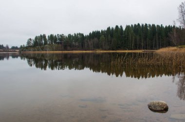  Ormandaki göl ve yansıma