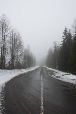 Kış ormanında sisli bir yol