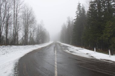  Kış ormanında sisli bir yol