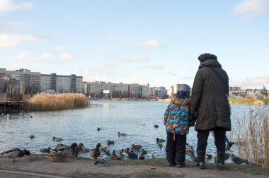 Torun ve büyükanne parkta ördek besliyor.