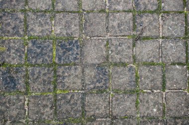 Taş gri duvar arkaplanı