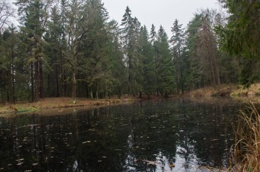  Köknar ormandaki göl