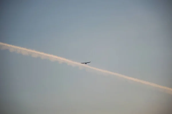 Céu Dramático Por Sol Com Nuvens — Fotografia de Stock