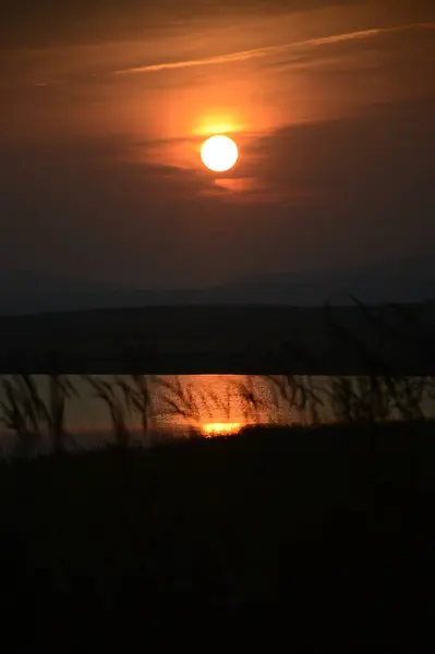 Sonnenuntergang Über Ähren — Stockfoto