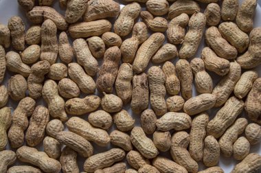 kabuk dokusu arka planında yer fıstığı