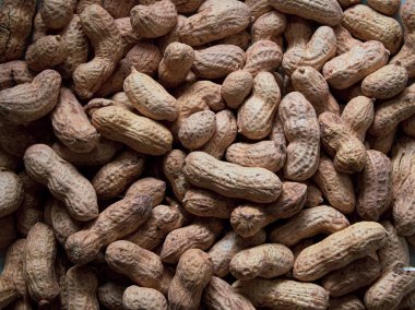 kabuk dokusu arka planında yer fıstığı