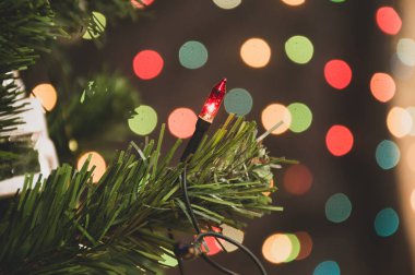  Noel ağacının çelenk ışıkları olan dalı