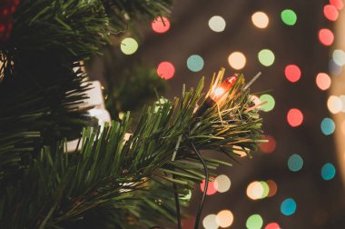  Noel ağacının çelenk ışıkları olan dalı