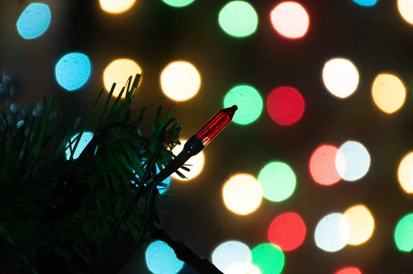 Zweig Des Weihnachtsbaums Mit Lichtergirlanden — Stockfoto