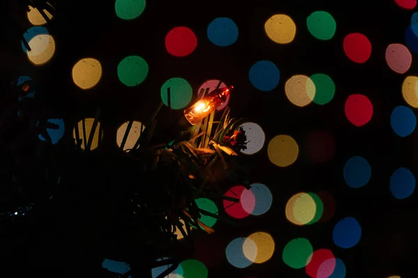 Zweig Des Weihnachtsbaums Mit Lichtergirlanden — Stockfoto