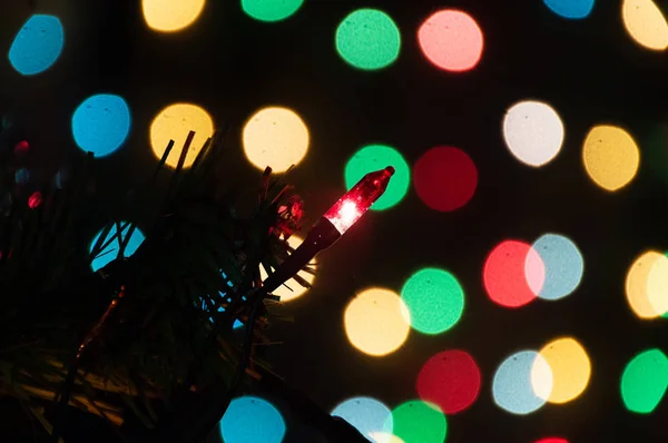 Rama Del Árbol Navidad Con Luces Guirnalda —  Fotos de Stock