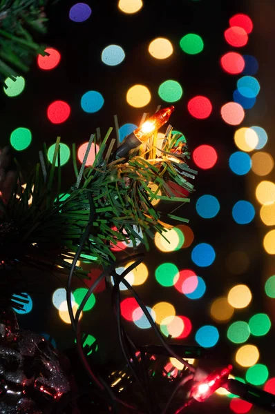 Rama Del Árbol Navidad Con Luces Guirnalda —  Fotos de Stock