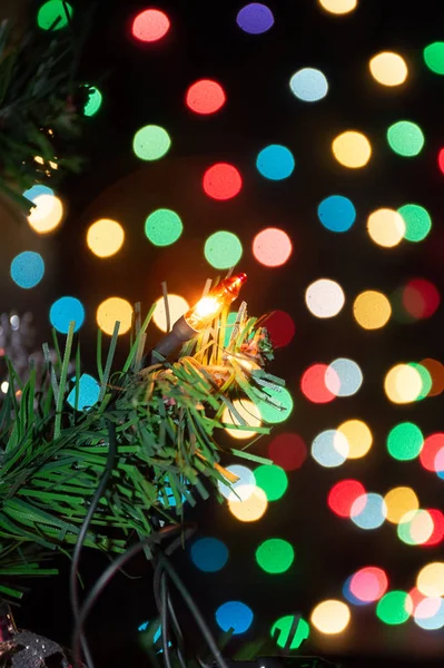 Κλαδί Χριστουγεννιάτικου Δέντρου Γιρλάντα Φώτα — Φωτογραφία Αρχείου