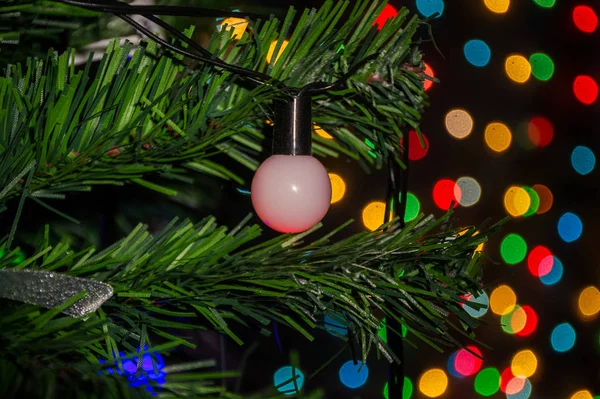 Rama Del Árbol Navidad Con Luces Guirnalda —  Fotos de Stock