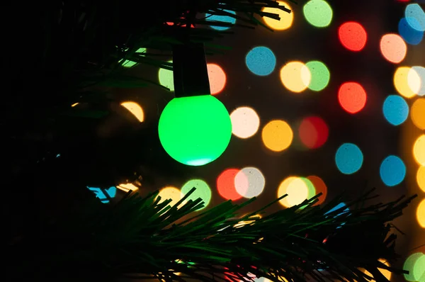 Větev Vánočního Stromku Věnec Světla — Stock fotografie