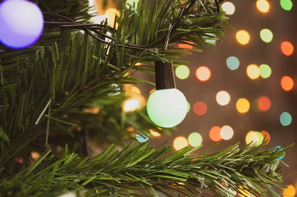 Rama Del Árbol Navidad Con Luces Guirnalda —  Fotos de Stock