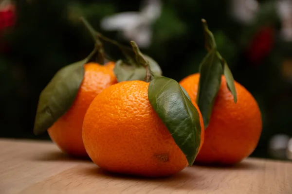 Pomarańczowy Mandarynka Tle Choinki — Zdjęcie stockowe