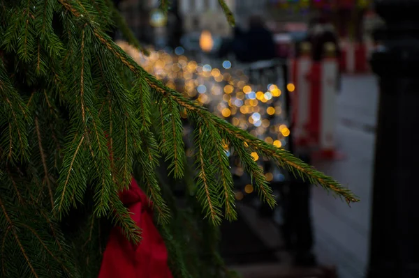 Branche Arbre Noël Sur Fond Guirlande — Photo