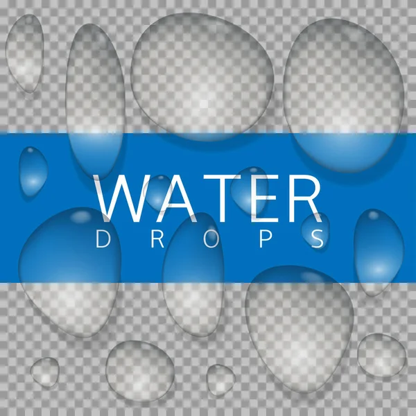 Realistic water drops — Stock Vector