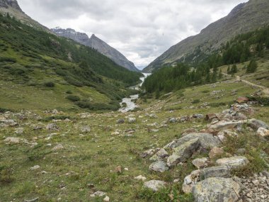 Val Dwight Bionaz Vadisi. Büyük dağlar ve su yolları ve tipik Alp bitkileri arasında. İtalya.