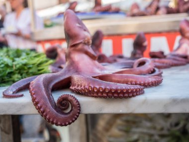 Palermo, Ballaro 'nun marketindeki sokak yiyeceklerinin ahtapotu.