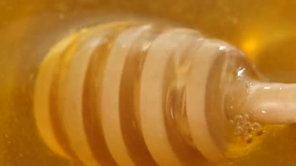 Bowl Honey Spoon Twisting — Stock Video