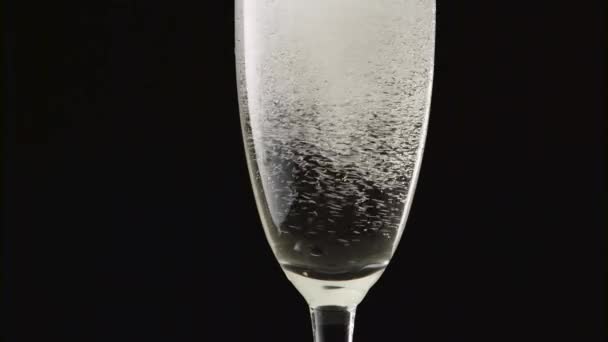 Champagne Skum Ett Glas Svart Bakgrund — Stockvideo