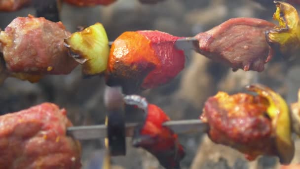 Kebabs Barbacoa Pinchos Dan Vuelta — Vídeo de stock