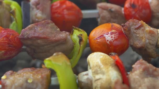 Tomate Est Cuit Sur Brochettes Kebabs Barbecue — Video