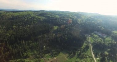 Orman yolunun panoramik görüntüsü